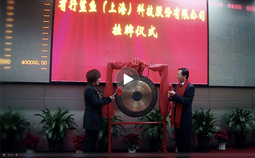 有行鯊魚(yú)企業(yè)宣傳片